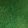 Hooker's Green